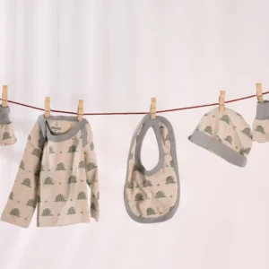 Baby bodysuit, bib, hat and booties clipped to a clothesline against a pale background